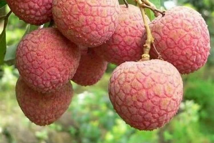 猫的尿与其他动物的尿有何不同？