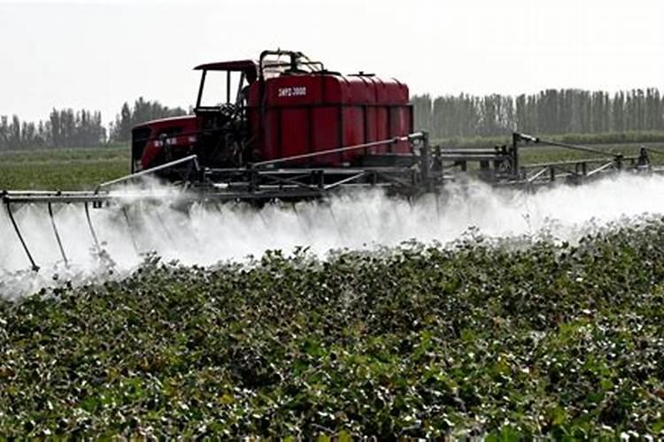 适量硼肥是每亩施多少斤硼肥