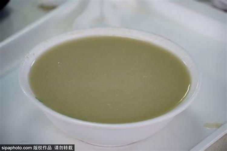 一串红有没有毒？