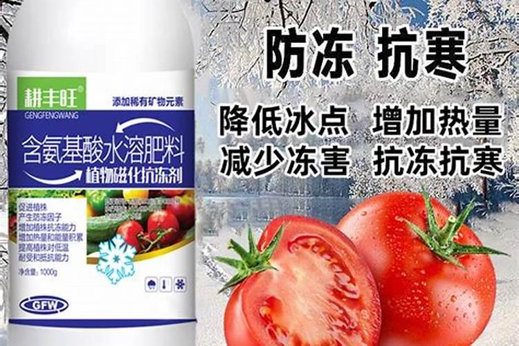 番茄膨果期用什么复合肥好？番茄结果期专用增产叶面肥料？