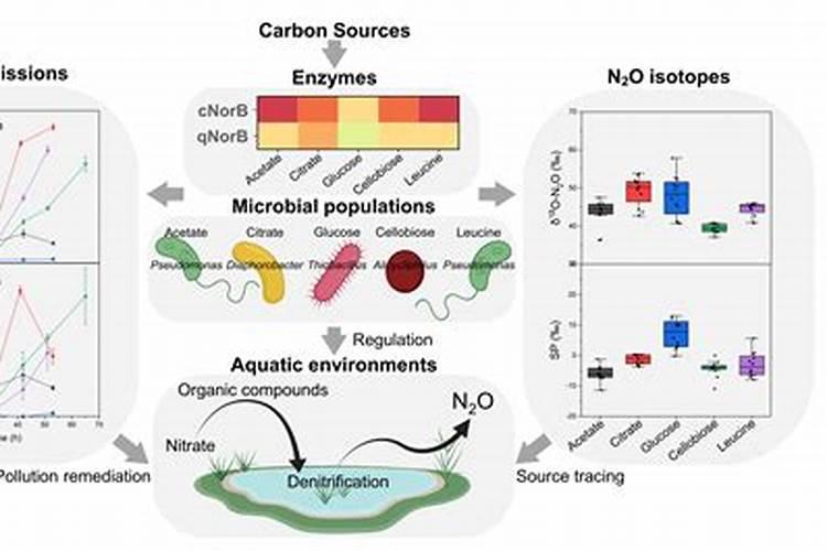 哪些元素是大量元素？