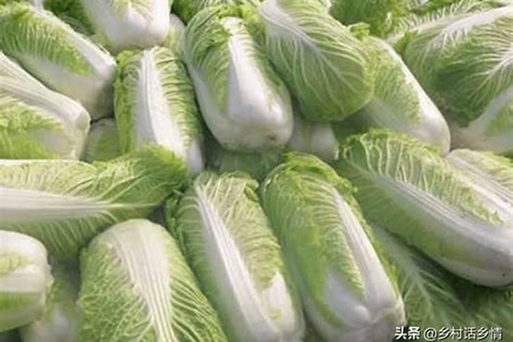 含氨基酸水溶肥料微量元素型标准