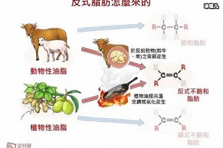 动物油如何作为肥料