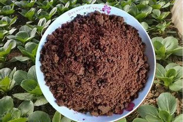 自制水溶叶面肥:清水30斤需用多少红糖和发酵粉