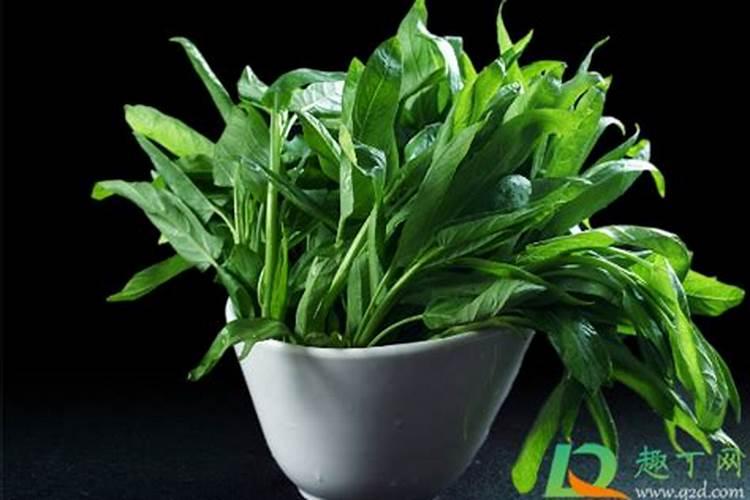 长寿花打骨朵后怎么养？