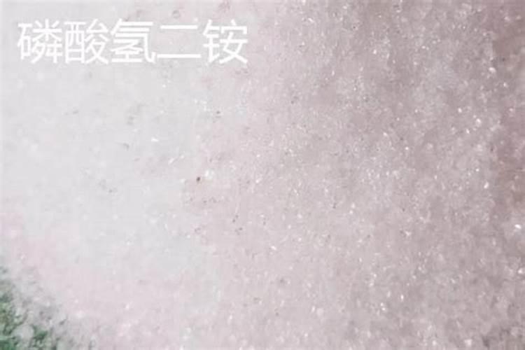 化肥是什么肥料它属于氮肥磷肥还是钾肥