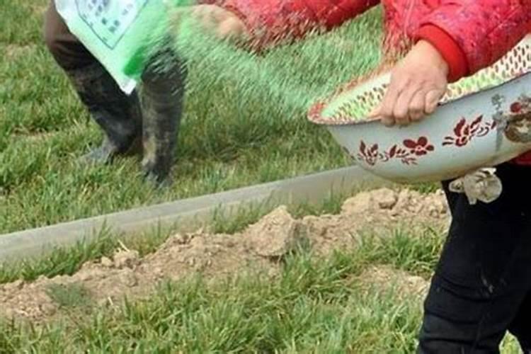 玉米喷锌肥和喷控旺剂矛盾吗