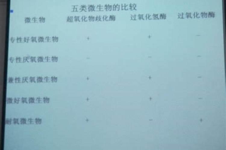 碗莲可以放鱼缸里一起养吗