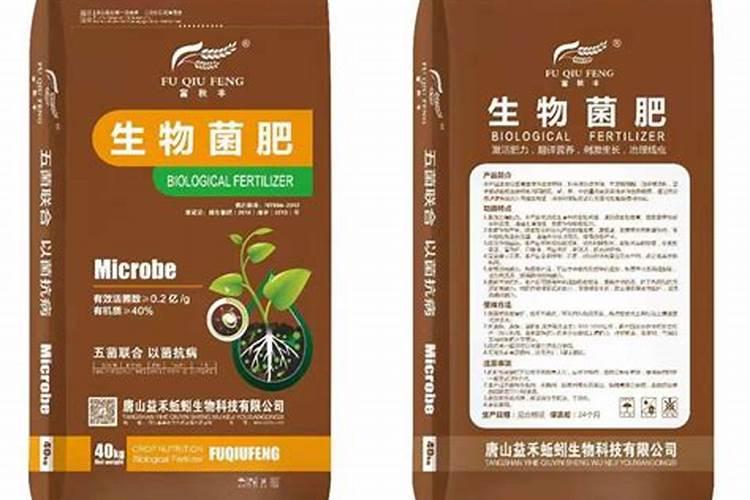 西葫芦的播种时间和方法