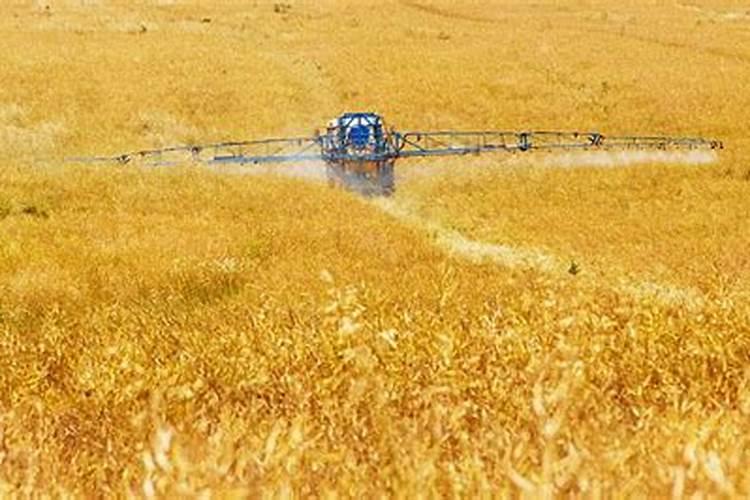 富硒肥料什么牌子的好