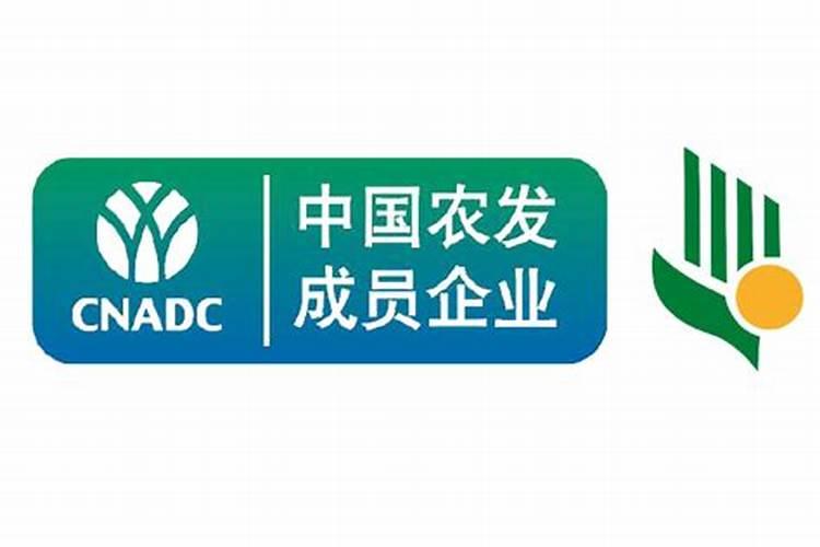 三农股票有哪些龙头股