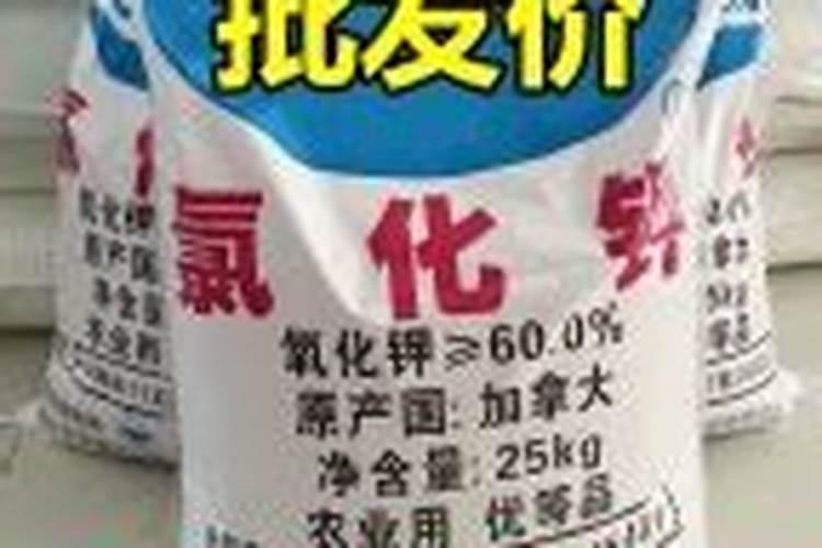 白绢病有特效药吗