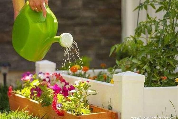 养花不换土多施肥行吗 养花不换土多施肥行吗视频