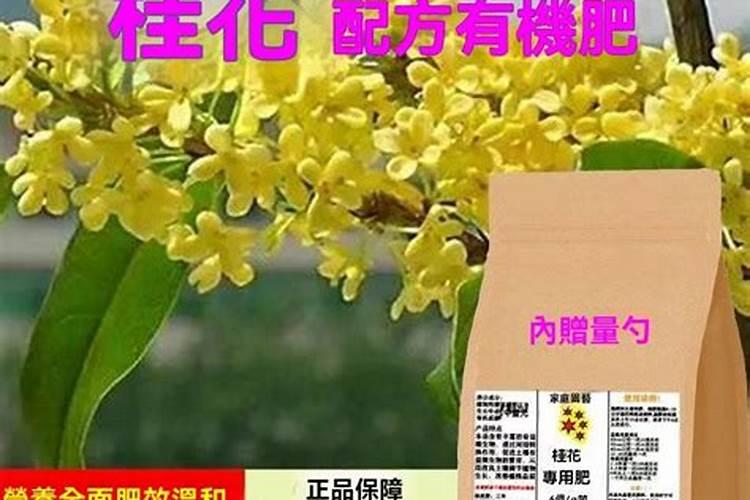 骨粉能代替果树磷肥吗