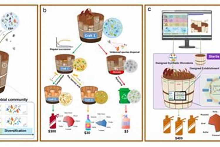 鱼虾发酵后含什么成分