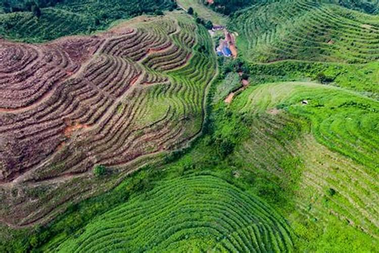 特殊土主要有那些分布在中国哪些地方其工程地址性质如何