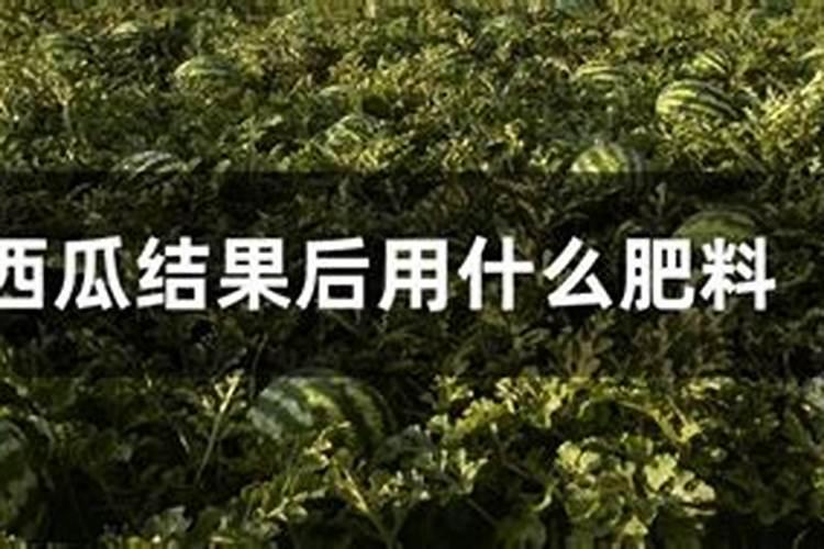 西瓜结果时需要施什么肥料