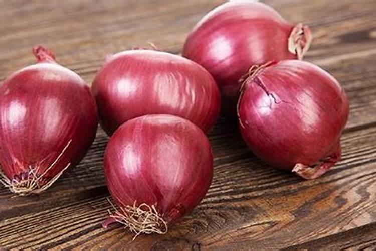 洋葱抗重茬用什么有机肥？洋葱黄叶死苗怎么用肥？洋葱枯黄萎病冲施根小子...