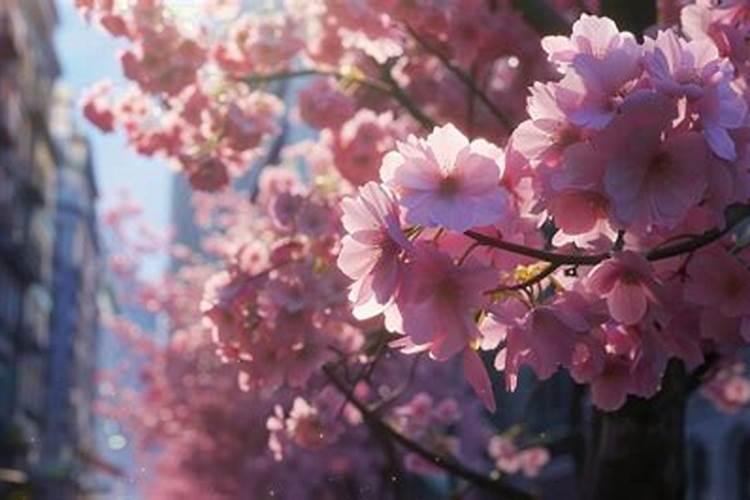 沈阳地区什么时候栽茄子辣椒黄瓜合适？