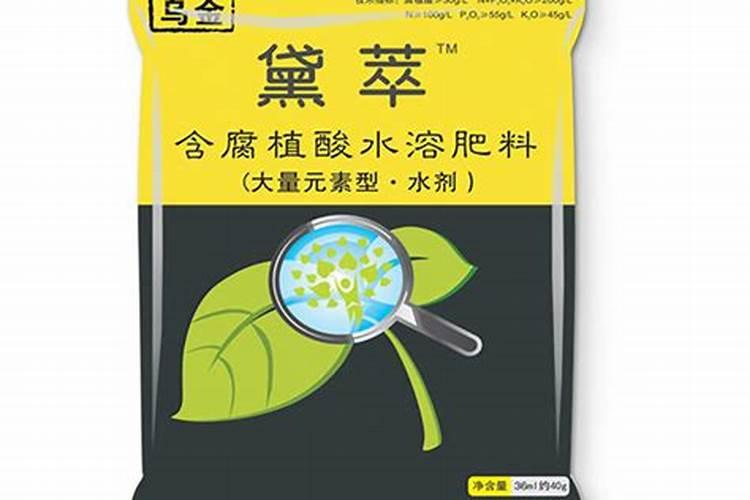 鸡树条荚蒾果实有毒吗