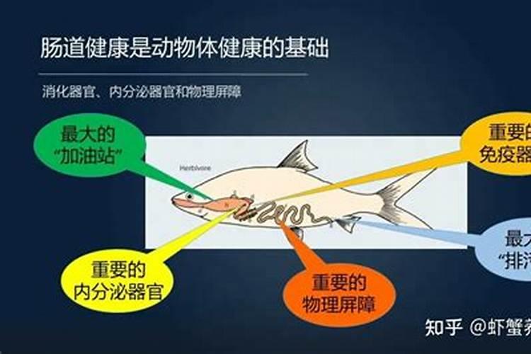 怎么刺激老桩发芽