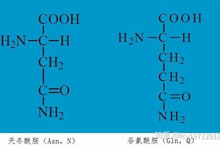 桉树第一年施肥方法 桉树第一年怎么施肥