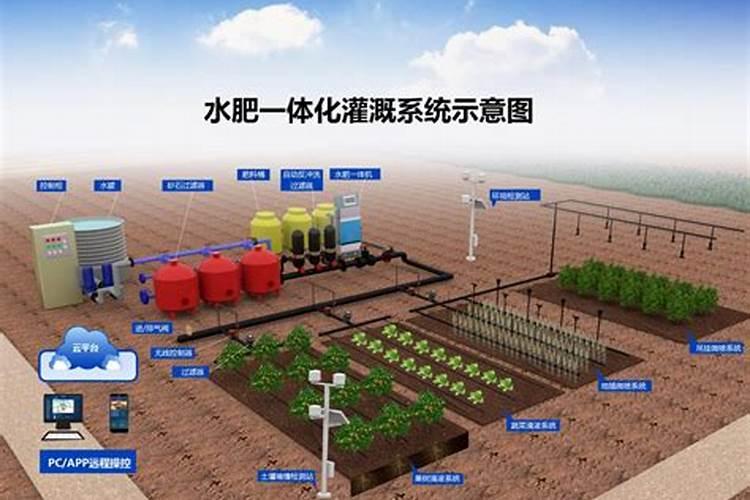 水溶肥那家公司的好