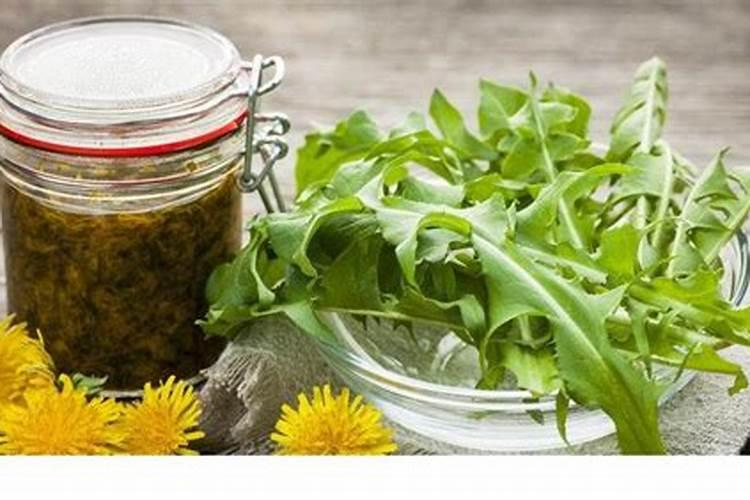 车前对便秘有着很大的帮助作用,这种植草是这样栽培的!