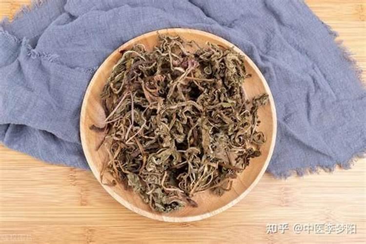 开花植物如何过冬？