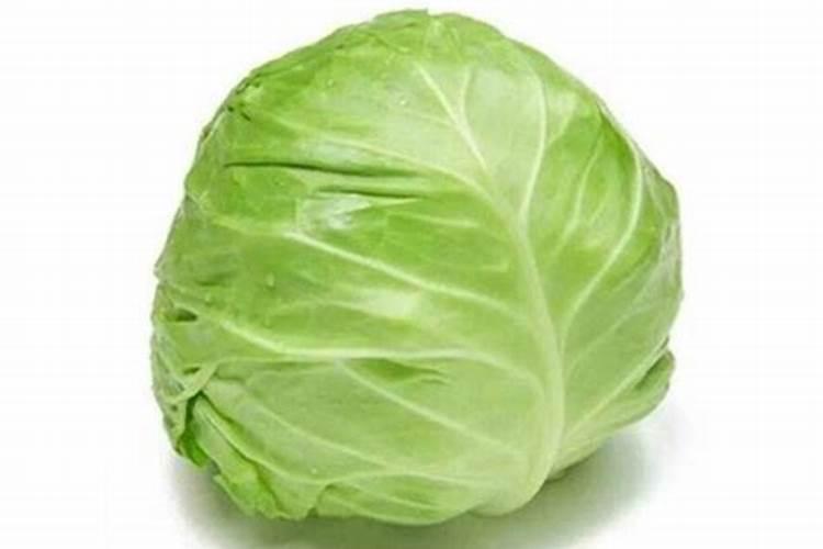 莲花白不包心怎么办(用什么办法能让白菜快速包心)
