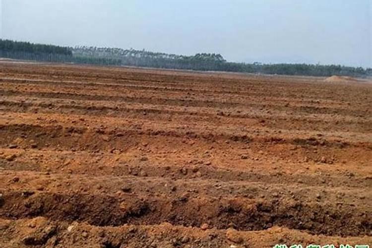 高锰酸钾土壤消毒的使用方法