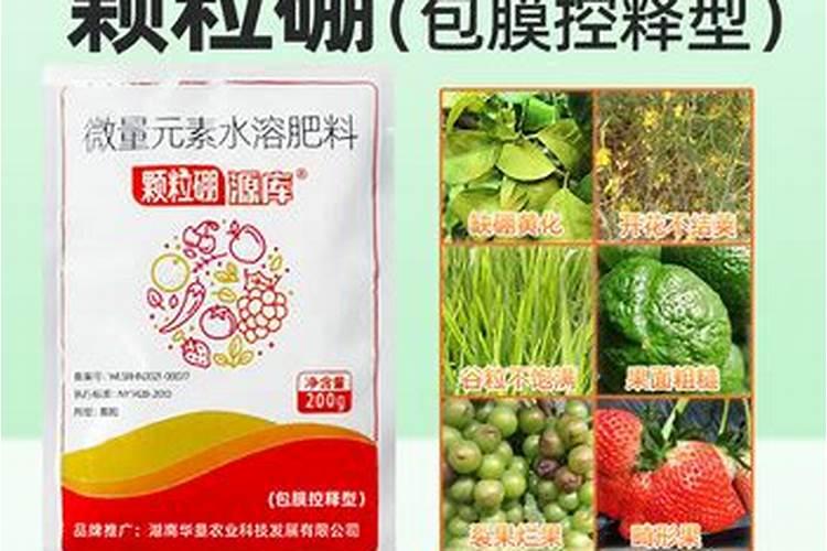 养花者如何选购肥料？