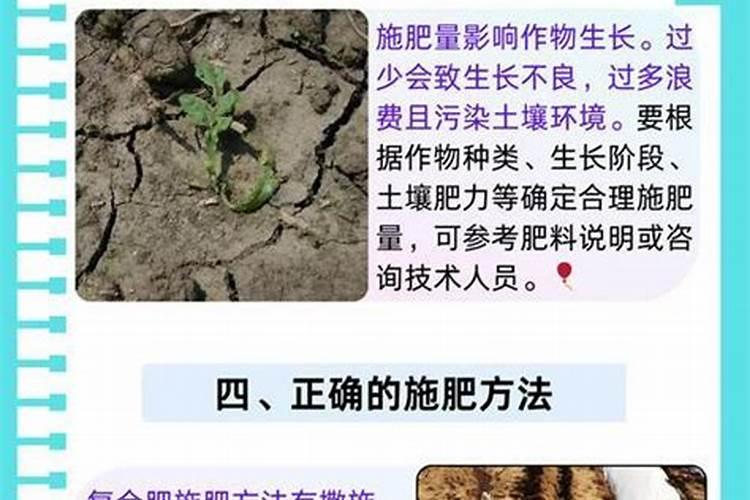 花卉缺少什么肥料如何进行判断