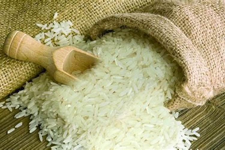 大米可以放土里当肥料吗