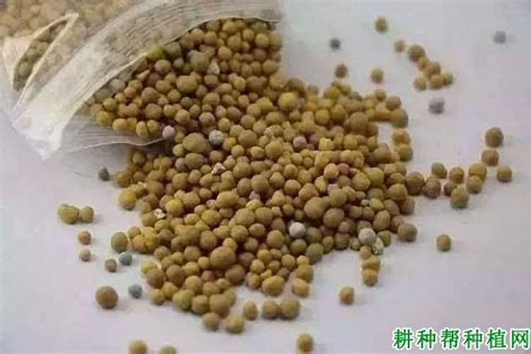 土壤碱性化用什么肥料可以调节？