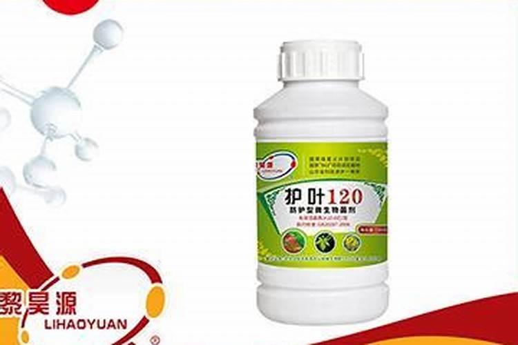 氨基寡糖能和叶面肥一起用吗