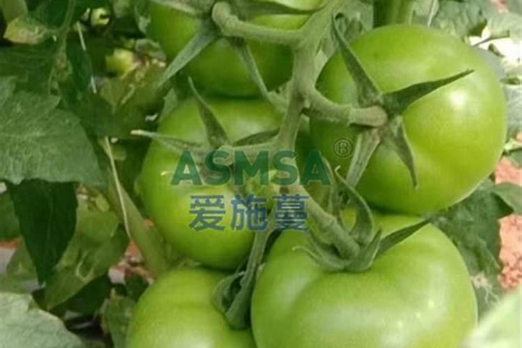 水溶肥可以撒施吗