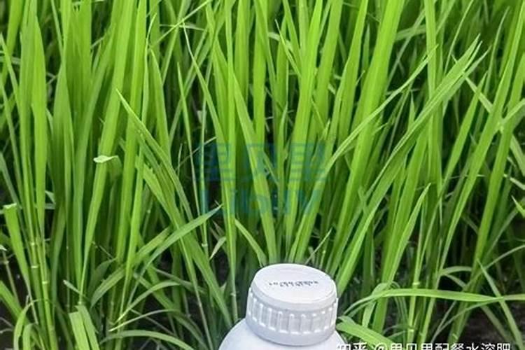 氯化胆碱一季最多用几次