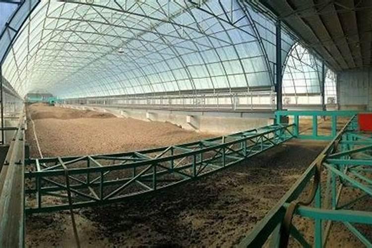 自制有机肥快速发酵方法