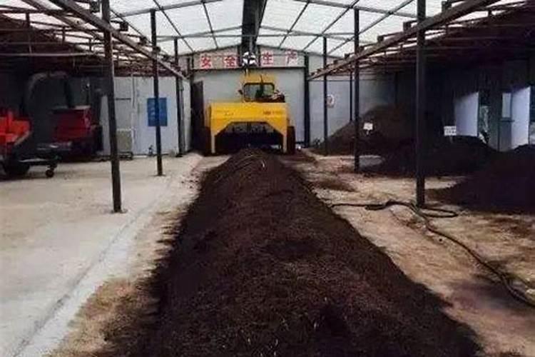 羊粪为什么不能直接施肥？羊粪怎样发酵成优质有机肥？发酵的方法