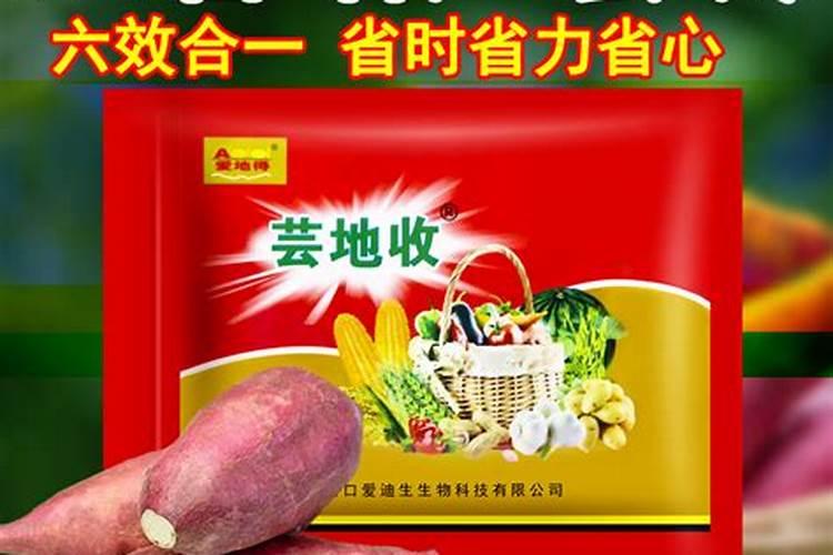 红薯秧打敌草快最怕三种东西
