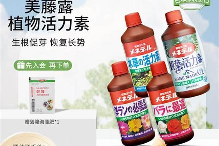 盆花应该怎么样施肥,你作对了吗？