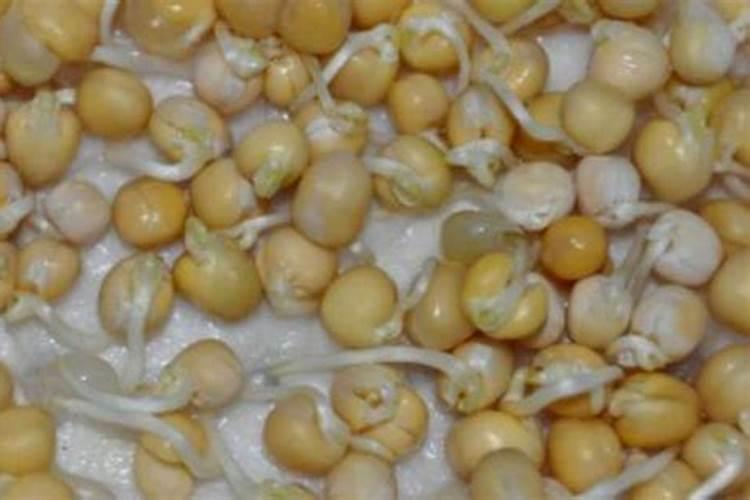 大豆喷施啥叶面肥最好