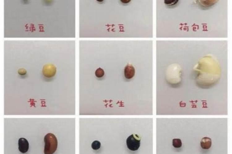 大豆叶面肥的喷施技巧