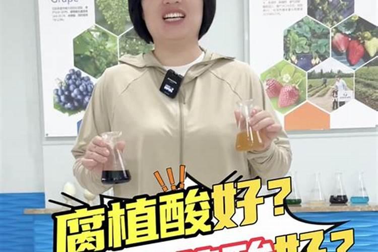 321春种节,柑橘种植管理要点:微量元素缺乏症之解决方案