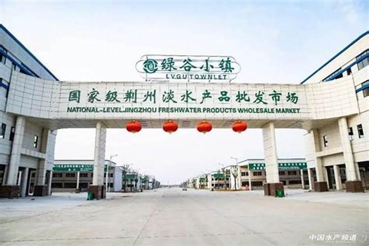 湖北荆州公安县生产阳光玫瑰葡萄有多少万亩