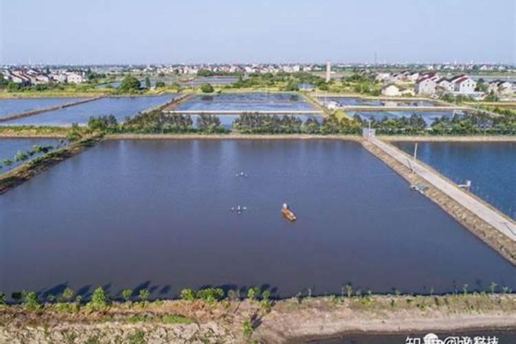 旭牧通肥乐丁怎么样