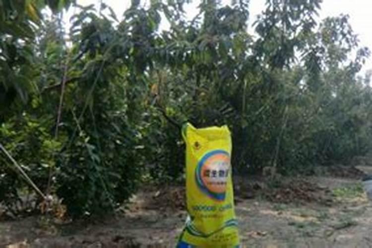 樱桃膨大期追施用的肥料？樱桃结果期用什么肥料产量高？