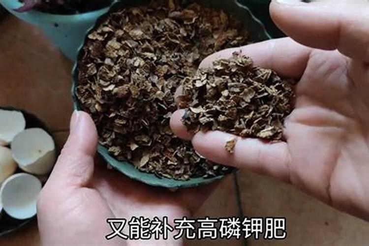 钾肥如何使用在花上