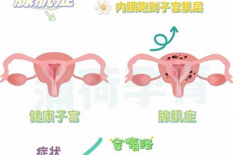 枣树伤根怎么救治